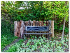 DMP_2788-HDR