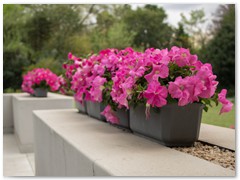 IMG_0391