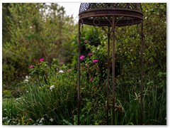IMG_0418