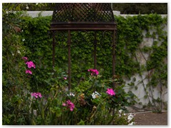 IMG_0464